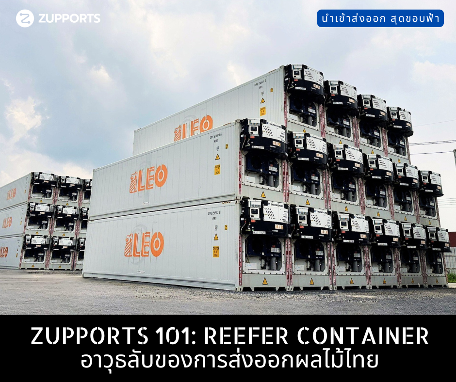 ZUPPORTS 101: Reefer Container อาวุธลับของการส่งออกผลไม้ไทย